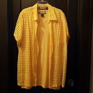 💛Closet Clear Out💛 Ashley Stewart 2-piece top ensemble